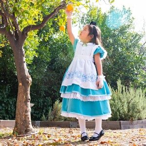 Leading Role Alice Inspired Costume